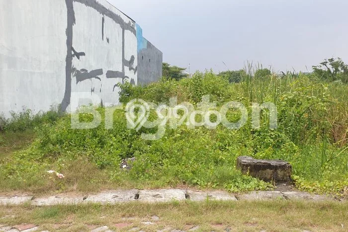 Tanah Strategis Dijual di Mayangan Probolinggo 999m2 Tanah Strategis Dijual di Mayangan Probolinggo 999m2