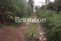 Tanah Dijual Lokasi Kintamani, Bangli Luas 3660m2 Legalitas Aman Tanah Dijual Lokasi Kintamani, Bangli Luas 3660m2 Legalitas Aman