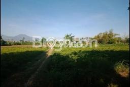 Lahan Investasi Lokasi Wongsorejo Banyuwangi SHM Lahan Investasi Lokasi Wongsorejo Banyuwangi SHM