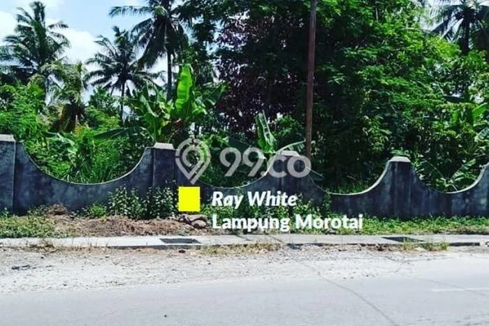 Dijual Tanah Lokasi Prima di Metro Pusat, Luas 4000m2m², Akses Fasilitas Umum Dijual Tanah Lokasi Prima di Metro Pusat, Luas 4000m2m², Akses Fasilitas Umum