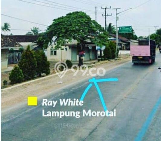 Jual Tanah Lokasi Strategis di Terbanggi Besar, Luas 1344m2m², Akses Terbanggi Besar, Lampung Tengah, Lampung Tengah Jual Tanah Lokasi Strategis di Terbanggi Besar, Luas 1344m2m², Akses Terbanggi Besar, Lampung Tengah, Lampung Tengah