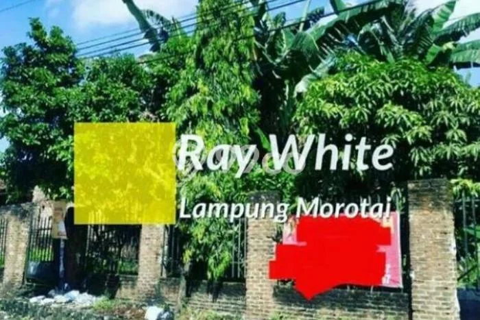 Tanah Kawasan Kedaton, Luas 910m2m², Area Potensial, Lingkungan Nyaman, Bebas Banjir Tanah Kawasan Kedaton, Luas 910m2m², Area Potensial, Lingkungan Nyaman, Bebas Banjir