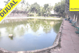 Tanah Dijual Lokasi Kalianda, Lampung Selatan Luas 3680m2 Legalitas Aman Tanah Dijual Lokasi Kalianda, Lampung Selatan Luas 3680m2 Legalitas Aman