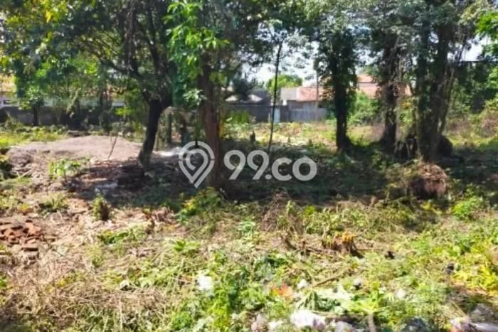 Lahan Dijual Lokasi Palimanan, Cirebon dengan Luas Tanah 645m2 dan Status SHM Lahan Dijual Lokasi Palimanan, Cirebon dengan Luas Tanah 645m2 dan Status SHM