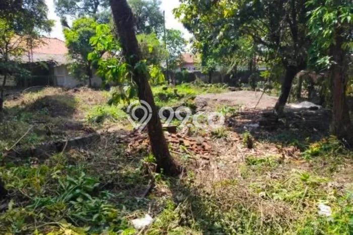 Lahan Dijual Lokasi Palimanan, Cirebon dengan Luas Tanah 645m2 dan Status SHM Lahan Dijual Lokasi Palimanan, Cirebon dengan Luas Tanah 645m2 dan Status SHM