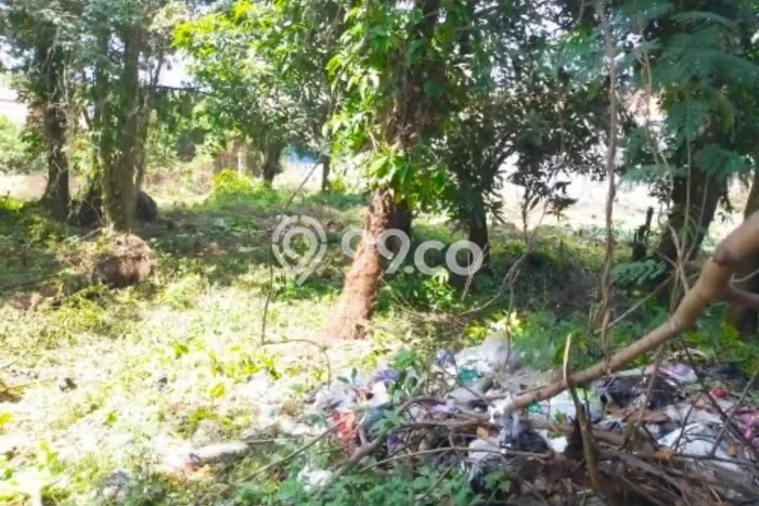 Lahan Dijual Lokasi Palimanan, Cirebon dengan Luas Tanah 645m2 dan Status SHM Lahan Dijual Lokasi Palimanan, Cirebon dengan Luas Tanah 645m2 dan Status SHM