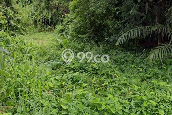 Untuk Dijual Tanah di Sawangan Depok Luas 10000m2 SHM Untuk Dijual Tanah di Sawangan Depok Luas 10000m2 SHM