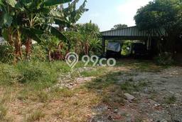Tanah Kavling Dijual di Pejaten, Jakarta Selatan dengan Luas Tanah 1m2 Tanah Kavling Dijual di Pejaten, Jakarta Selatan dengan Luas Tanah 1m2