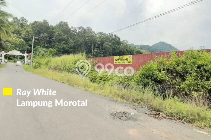 Kavling Tanah Dijual di Padang Cermin Pesawaran Spesifikasi 100000m2 Kavling Tanah Dijual di Padang Cermin Pesawaran Spesifikasi 100000m2