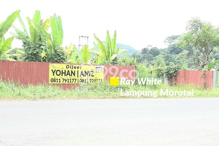 Kavling Tanah Dijual di Padang Cermin Pesawaran Spesifikasi 100000m2 Kavling Tanah Dijual di Padang Cermin Pesawaran Spesifikasi 100000m2