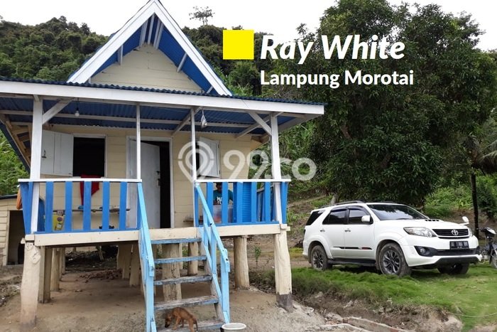 Tanah untuk Dijual di Punduh Pidada Pesawaran Luas 14000m2 Tanah untuk Dijual di Punduh Pidada Pesawaran Luas 14000m2