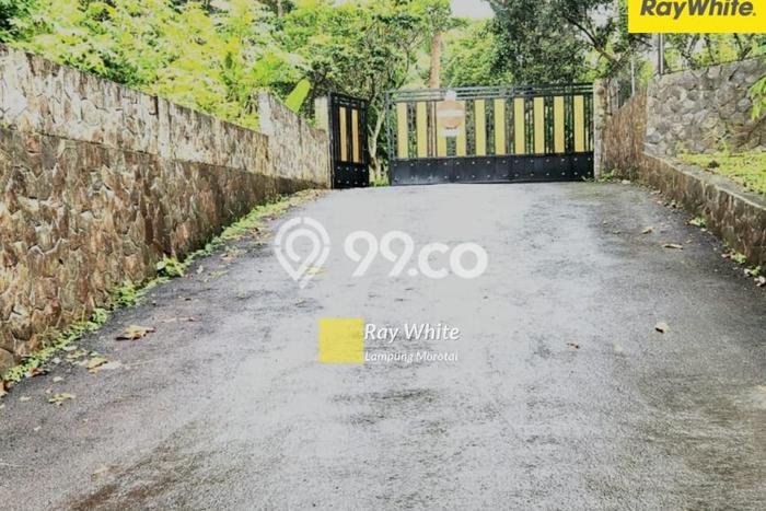 LOKASI STRATEGIS! Tanah di Tanjung Karang Barat, Luas 1m2m², Area Asri, Cocok untuk Investasi LOKASI STRATEGIS! Tanah di Tanjung Karang Barat, Luas 1m2m², Area Asri, Cocok untuk Investasi