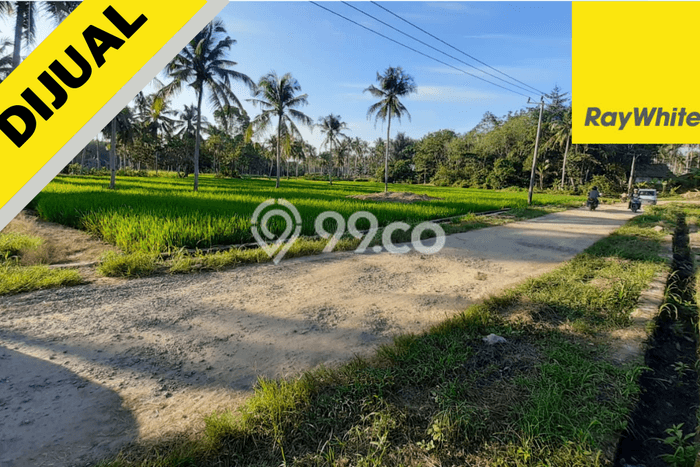 HARGA MENARIK! Tanah di Tanjung Bintang, Luas 33470m2m², Area Asri, Bebas Banjir HARGA MENARIK! Tanah di Tanjung Bintang, Luas 33470m2m², Area Asri, Bebas Banjir