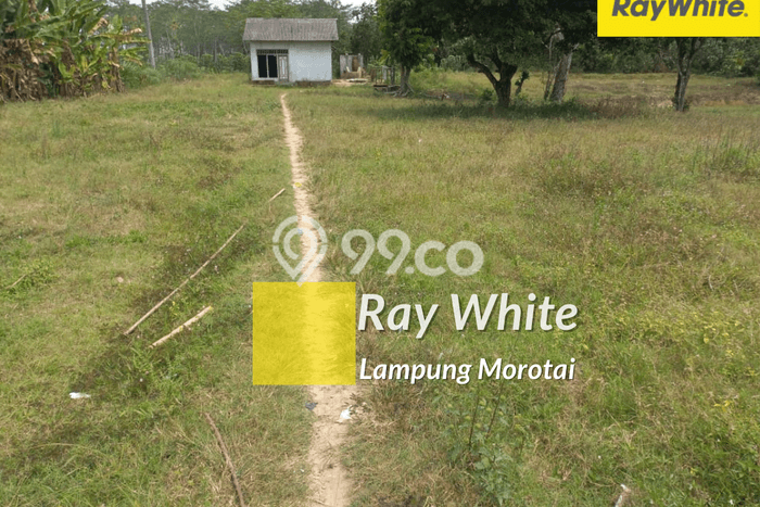 Tanah Kawasan Natar, Luas 5138m2m², Akses Jalan Utama Tanah Kawasan Natar, Luas 5138m2m², Akses Jalan Utama