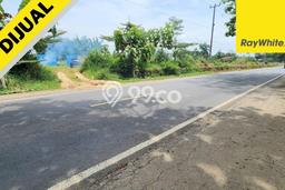 Tanah untuk Dijual di Tegineneng Pesawaran Luas 56420m2 Tanah untuk Dijual di Tegineneng Pesawaran Luas 56420m2