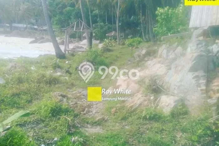 Lahan Strategis di Kalianda Dijual dengan Luas 11970m2 Lahan Strategis di Kalianda Dijual dengan Luas 11970m2