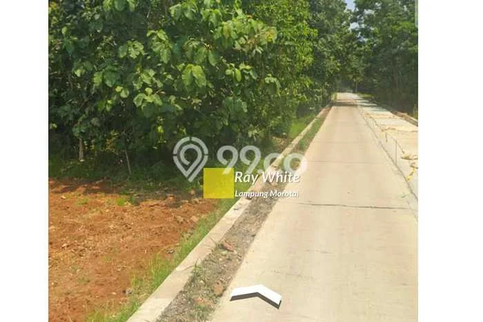 Tanah Dijual Lokasi Negeri Katon, Pesawaran dengan Luas Tanah 34802m2 dan Status SHM Tanah Dijual Lokasi Negeri Katon, Pesawaran dengan Luas Tanah 34802m2 dan Status SHM