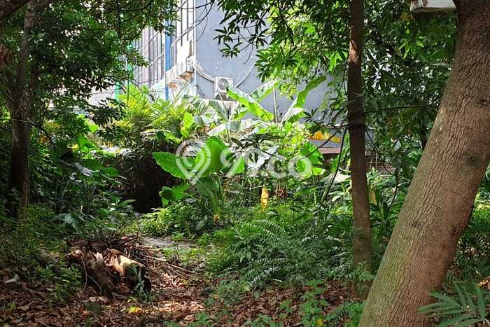 Dijual Tanah di Kebayoran Lama Jakarta Selatan Luas 611m2 SHM Dijual Tanah di Kebayoran Lama Jakarta Selatan Luas 611m2 SHM