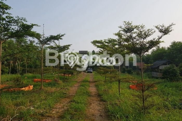 Tanah Dijual Lokasi Gunung Sindur Bogor SHM Tanah Dijual Lokasi Gunung Sindur Bogor SHM