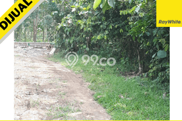 Jarang Ada! Tanah di Negeri Katon Punya Luas 34802m2 SHM Jarang Ada! Tanah di Negeri Katon Punya Luas 34802m2 SHM