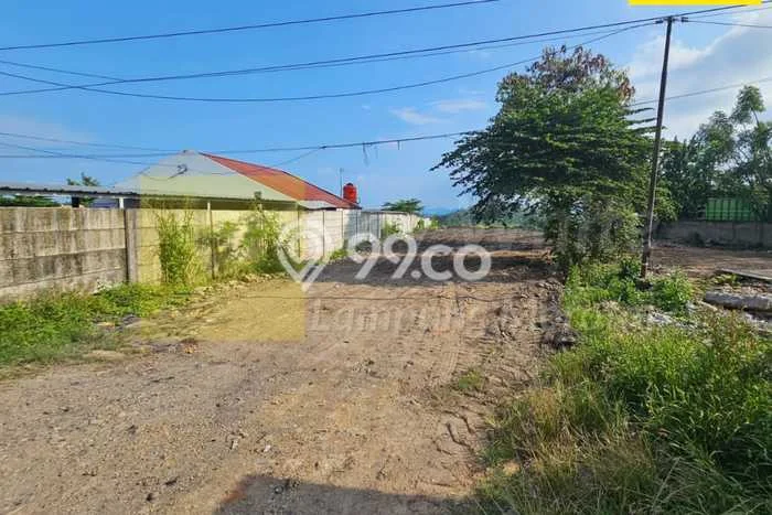 Tanah di Panjang, Bandar Lampung Luas 7086m2 Dijual Segera Tanah di Panjang, Bandar Lampung Luas 7086m2 Dijual Segera