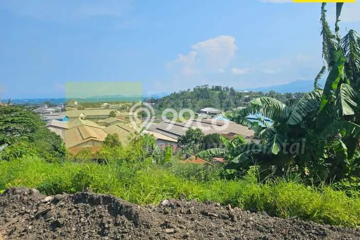 Tanah di Panjang, Bandar Lampung Luas 7086m2 Dijual Segera Tanah di Panjang, Bandar Lampung Luas 7086m2 Dijual Segera