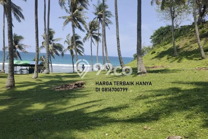 Dijual Tanah Lokasi Pemenang, Lombok Barat Seluas 7803m2 Dijual Tanah Lokasi Pemenang, Lombok Barat Seluas 7803m2