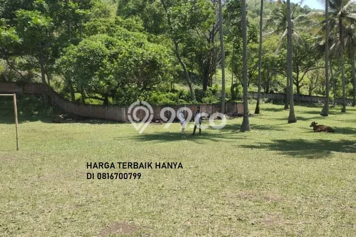 Tanah Kavling Dijual di Lombok Barat dengan Spesifikasi 6018m2 Tanah Kavling Dijual di Lombok Barat dengan Spesifikasi 6018m2