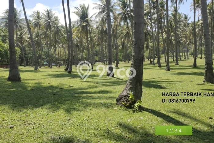 Tanah Kavling Dijual di Lombok Barat dengan Spesifikasi 6018m2 Tanah Kavling Dijual di Lombok Barat dengan Spesifikasi 6018m2