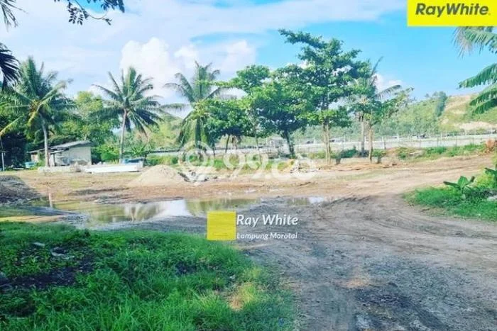 Dijual Tanah Lokasi Strategis Kawasan Bakauheni, Luas 206830m2m², Akses Bakauheni, Lampung Selatan, Lampung Selatan Dijual Tanah Lokasi Strategis Kawasan Bakauheni, Luas 206830m2m², Akses Bakauheni, Lampung Selatan, Lampung Selatan
