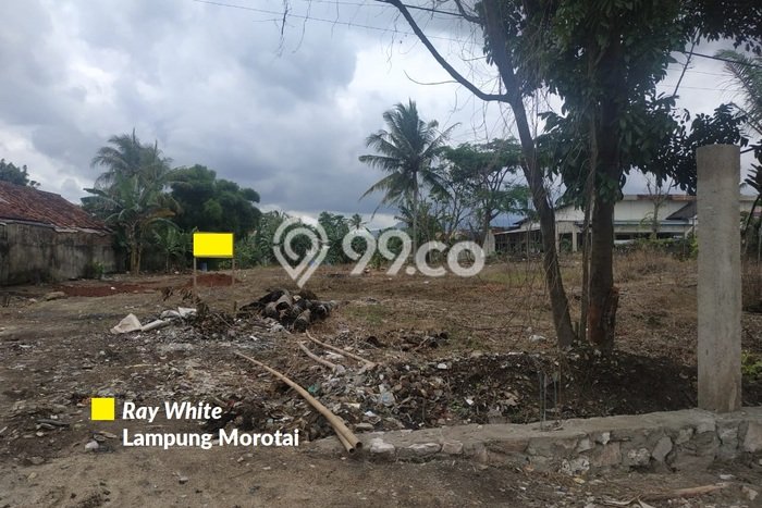 Lahan Dijual Lokasi Kedaton, Bandar Lampung dengan Luas Tanah 4525m2 dan Status SHM Lahan Dijual Lokasi Kedaton, Bandar Lampung dengan Luas Tanah 4525m2 dan Status SHM