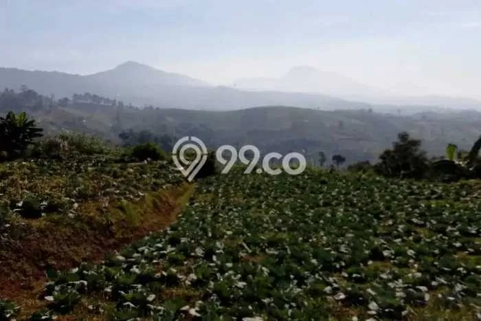 Dijual Tanah 7775m2 di Cikutra, Bandung Dijual Tanah 7775m2 di Cikutra, Bandung