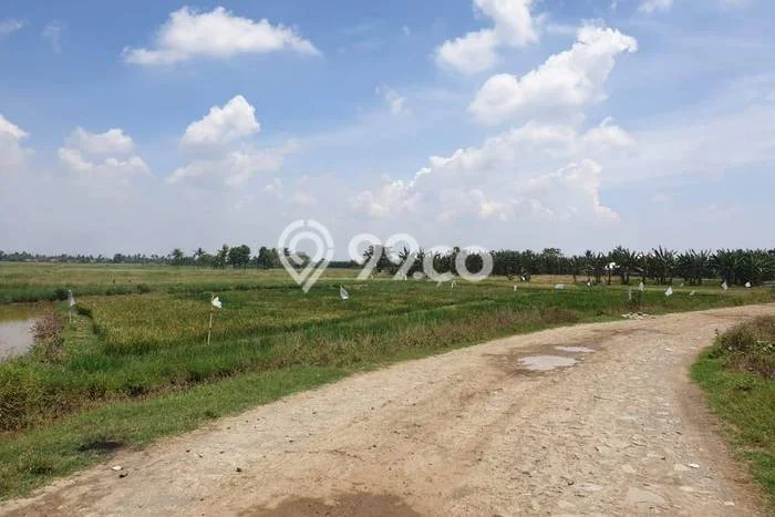Tanah Kavling Dijual di Harapan Jaya, Bekasi dengan Luas Tanah 67000m2 Tanah Kavling Dijual di Harapan Jaya, Bekasi dengan Luas Tanah 67000m2