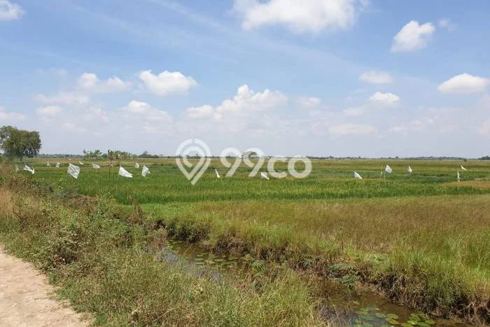 Tanah Kavling Dijual di Harapan Jaya, Bekasi dengan Luas Tanah 67000m2 Tanah Kavling Dijual di Harapan Jaya, Bekasi dengan Luas Tanah 67000m2