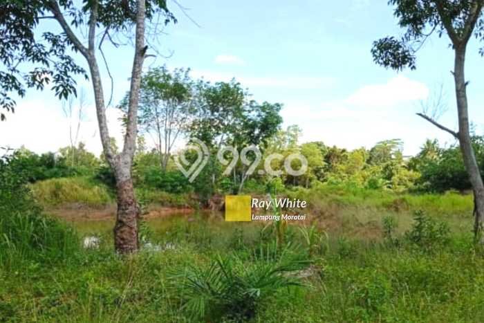 Tanah Komersial di Pasir Sakti, Luas 4m2m², Akses Mudah Tanah Komersial di Pasir Sakti, Luas 4m2m², Akses Mudah