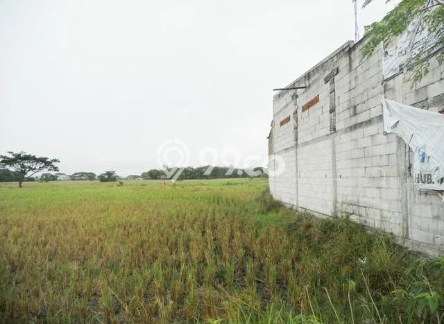 Tanah Kavling Dijual di Serang Timur, Serang dengan Luas Tanah 1960m2 Tanah Kavling Dijual di Serang Timur, Serang dengan Luas Tanah 1960m2