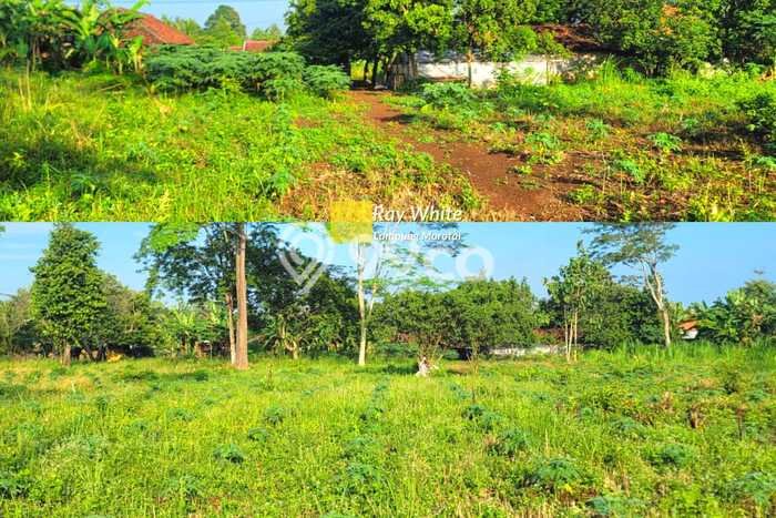HARGA MENARIK! Tanah Kawasan Natar, Luas 6393m2m², Lokasi Berkembang, Bebas Banjir HARGA MENARIK! Tanah Kawasan Natar, Luas 6393m2m², Lokasi Berkembang, Bebas Banjir