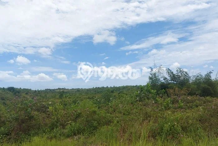 Tanah Kavling untuk Dijual di Balikpapan Selatan Balikpapan 380000m2 Tanah Kavling untuk Dijual di Balikpapan Selatan Balikpapan 380000m2