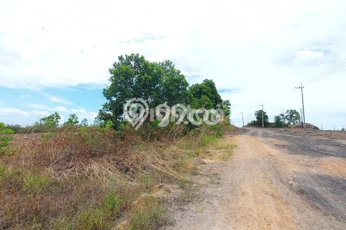 Tanah Kavling untuk Dijual di Balikpapan Selatan Balikpapan 380000m2 Tanah Kavling untuk Dijual di Balikpapan Selatan Balikpapan 380000m2