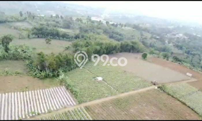 Tanah Dijual Lokasi Caringin, Bogor Luas 80000m2 Legalitas Aman Tanah Dijual Lokasi Caringin, Bogor Luas 80000m2 Legalitas Aman