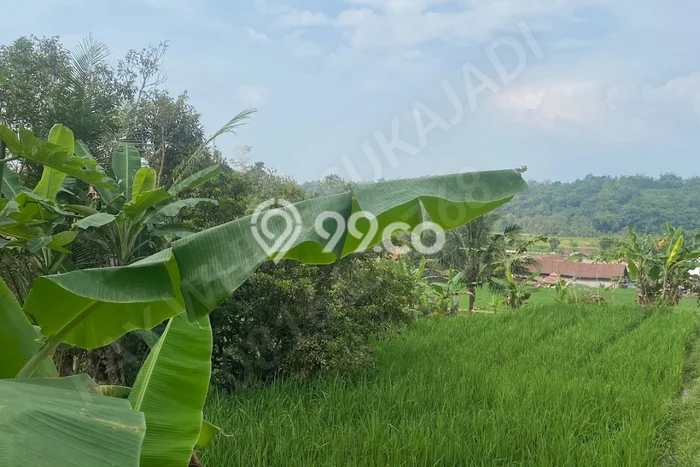 Kavling Tanah di Sumedang Selatan Dijual Luas 1760m2 Legalitas SHM Kavling Tanah di Sumedang Selatan Dijual Luas 1760m2 Legalitas SHM