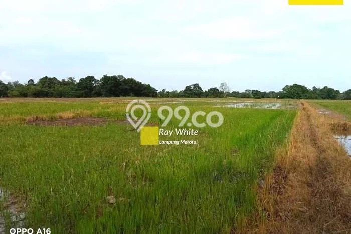 Dijual Tanah Kawasan Metro Timur, Luas 14965m2m², Dekat Metro Timur, Metro, Metro Dijual Tanah Kawasan Metro Timur, Luas 14965m2m², Dekat Metro Timur, Metro, Metro