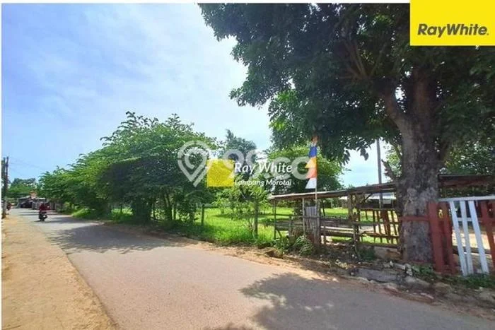 Tanah Area Berkembang Kawasan Way Halim, Luas 2500m2m², Dekat ke Fasilitas, Lingkungan Asri Tanah Area Berkembang Kawasan Way Halim, Luas 2500m2m², Dekat ke Fasilitas, Lingkungan Asri