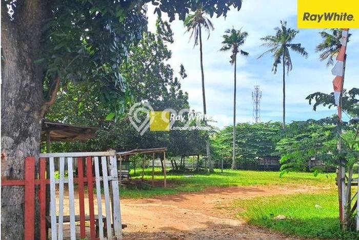 Tanah Area Berkembang Kawasan Way Halim, Luas 2500m2m², Dekat ke Fasilitas, Lingkungan Asri Tanah Area Berkembang Kawasan Way Halim, Luas 2500m2m², Dekat ke Fasilitas, Lingkungan Asri