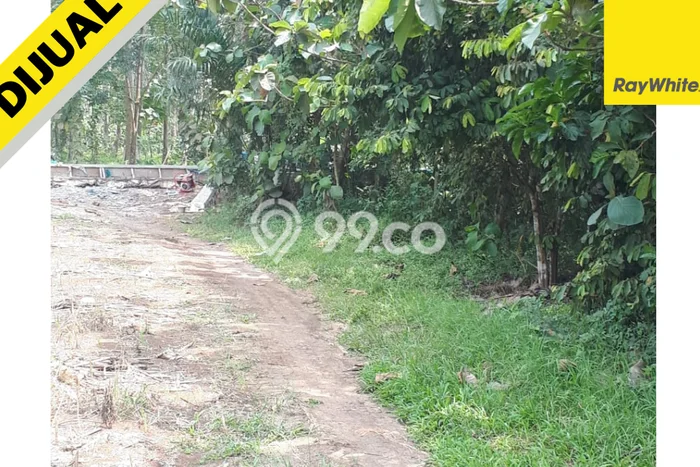 Tanah Kavling untuk Dijual di Negeri Katon Pesawaran 34802m2 Tanah Kavling untuk Dijual di Negeri Katon Pesawaran 34802m2