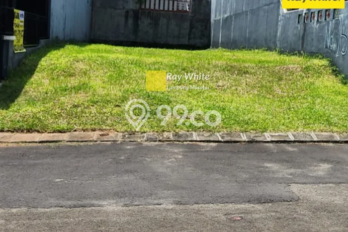 Jarang Ada! Tanah di Teluk Betung Barat Punya Luas 160m2 SHM Jarang Ada! Tanah di Teluk Betung Barat Punya Luas 160m2 SHM