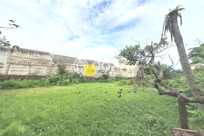 Tanah di Tanjung Senang, Luas 6066m2m², Area Strategis, Lingkungan Nyaman, Bebas Banjir Tanah di Tanjung Senang, Luas 6066m2m², Area Strategis, Lingkungan Nyaman, Bebas Banjir