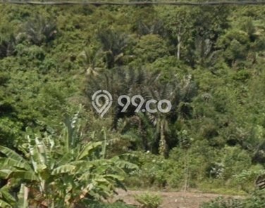 Tanah di Tanjung Karang Timur, Bandar Lampung Luas 3795m2 Dijual Segera Tanah di Tanjung Karang Timur, Bandar Lampung Luas 3795m2 Dijual Segera