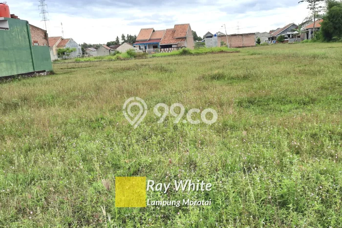 Tanah Premium Kawasan Tanjung Senang, Luas 3262m2m², Akses Tanjung Senang, Bandar Lampung, Bandar Lampung Tanah Premium Kawasan Tanjung Senang, Luas 3262m2m², Akses Tanjung Senang, Bandar Lampung, Bandar Lampung