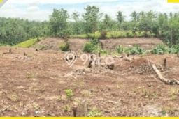 AREA PROSPEKTIF! Tanah di Jati Agung, Luas 7035m2m², Akses Fasilitas Umum, Kawasan Potensial AREA PROSPEKTIF! Tanah di Jati Agung, Luas 7035m2m², Akses Fasilitas Umum, Kawasan Potensial